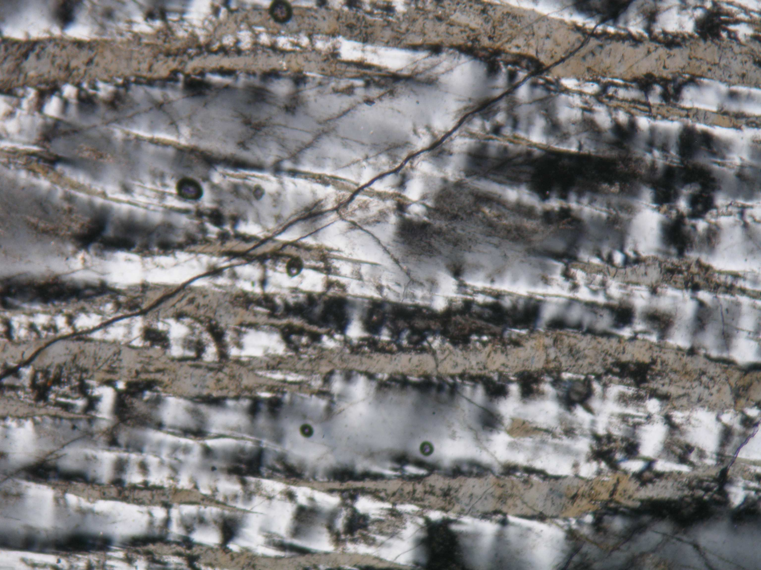 Alkalické živce jsou v pegmatitu přítomny jako hlavní horninotvorné minerály a mají vysoké zastoupení ve všech jednotkách (živec-křemen-muskovitové, živec-křemenbiotitové, blokové, písmenkové,