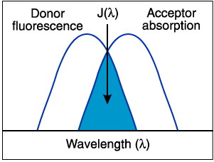 Překryvový integrál Emisní spektrum donoru se musí překrývat s absorpčním spektrem