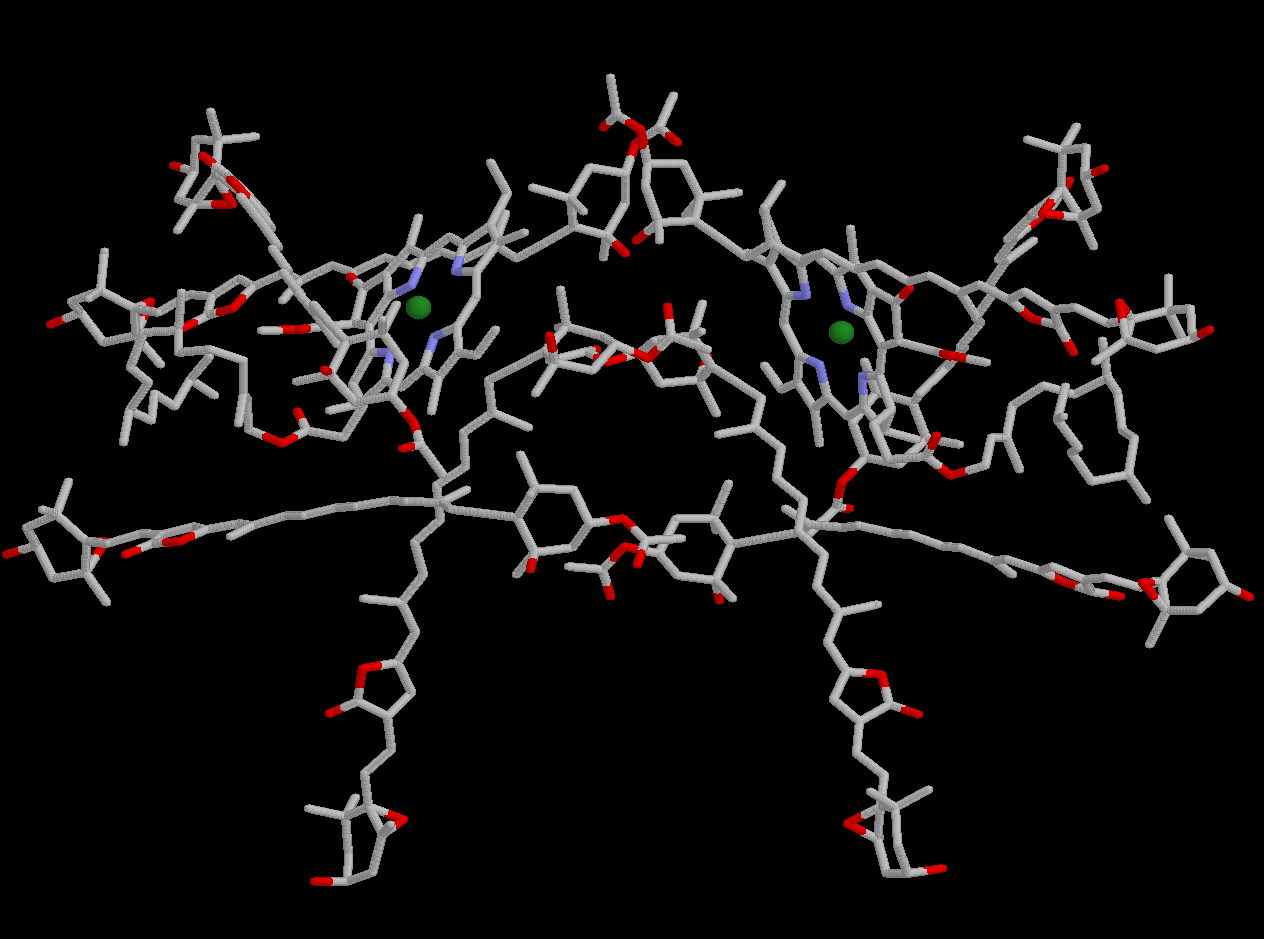 Peridinin chlorofyl-a protein (PCP) Vnější anténa