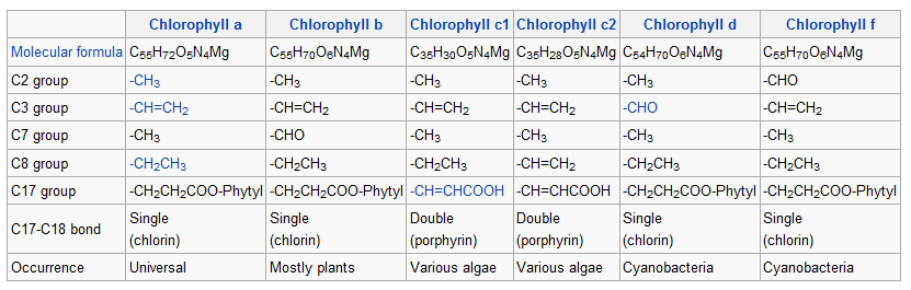 Chlorofyly