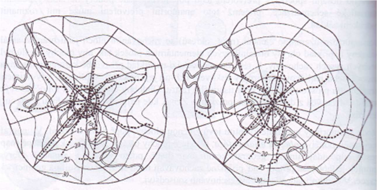 Jan Vinš: Srovnání vybraných metod tematické kartografie z hlediska použitelnosti s důrazem na radiální anamorfózu 13 Obrázek 5: Radiální anamorfóza (vpravo) (zdroj: Voženílek, 2001) 2.