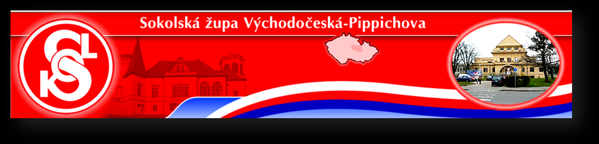 zupa-pippichova.
