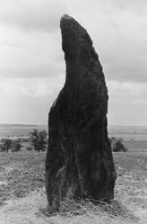 Baba u Drahomyšle. Osamělý smutek malých vztyčených kamenů. Zkamenělý pastýř u Klobuk je nejslavnějším a největším českým vztyčeným kamenem. motivů.