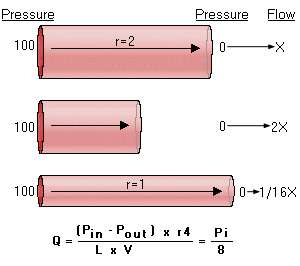 Geometrie cévy Hagen-Poiseuillův zákon Q = Ppr 4 /8hl protože R=8l/pr 4 r poloměr