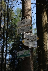 Směrníky ukazují průběh zelené značky z Ronova nad Doubravou do Mladotic a k rozcestí Pod Luhy. Místem prochází trasa popsaná na http://www.turistika.