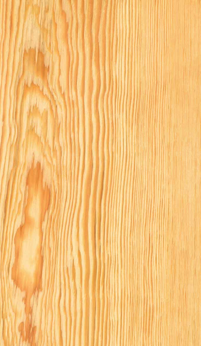 Informace a tipy Dřevo - materiál s charakterem Abyste z vašeho dřeva měli dlouho radost Staletí staré stromy nás učí obdivu