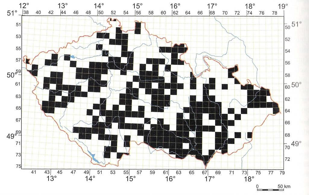 :z povodí Amuru, v ČR od 1964 Vodňany, dnes chován v rybnících, v SR 1968 v Dunaji a poté v jiných volných vodách