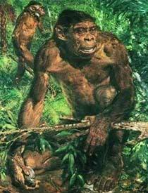 na konci třetihor se objevují první předchůdci člověka. Ramapithecus zřejmě první opičí předchůdce člověka.