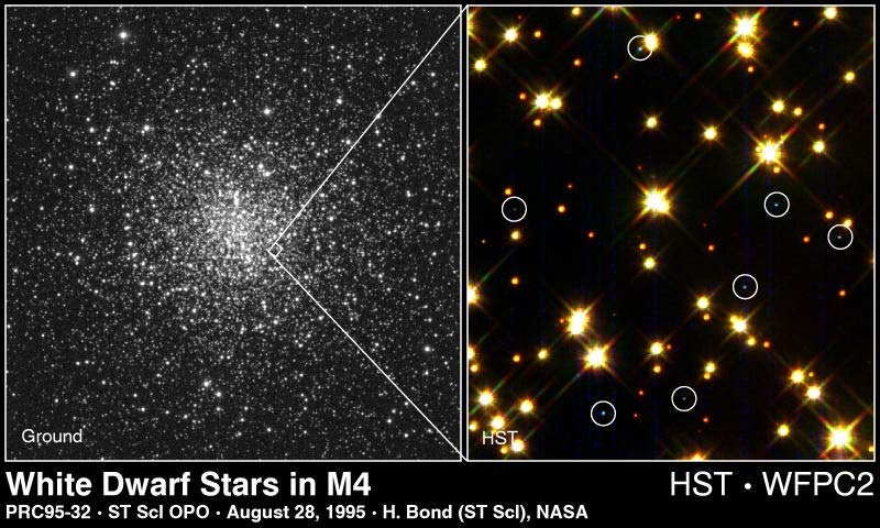 Bílí trpaslíci Konečné stadium hvězd hlavní posloupnosti, které se během života přemění na obry a veleobry. Po utlumení termonukleárních reakcí se jádro smrští na poloměr ~1 000-10 000 km.