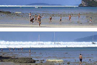 Termín tsunami je původně z japonského slova, které znamená velké vlny v přístavu.