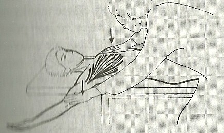 Obr. 21. Test m. rectus femoris [JANDA, 2004, s. 284] Velký sval prsní (m. pectoralis major) stolu.