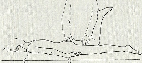 Velký sval hýžďový (m. gluteus maximus) Základní poloha: Leh na břiše (můţe být podloţení v oblasti kyčlí). Test: Vyšetřující fixuje pánev dlaní.
