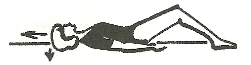 Hluboké flexory krku a hlavy (m. rectus capitis lateralis, m. rectus capitis anterior, m. longus colli, m. longus capitis) Základní poloha: Leh pokrčmo, mírně rozkročný, chodidla na podloţce.