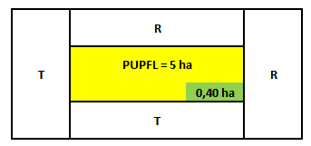19 Jak je posuzována velikost zalesněného DPB, popřípadě jeho návaznost na jiný pozemek určený k plnění funkcí lesa?