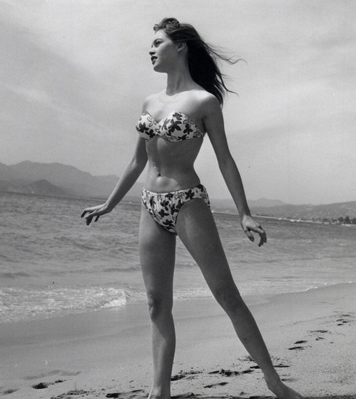 Brigitte