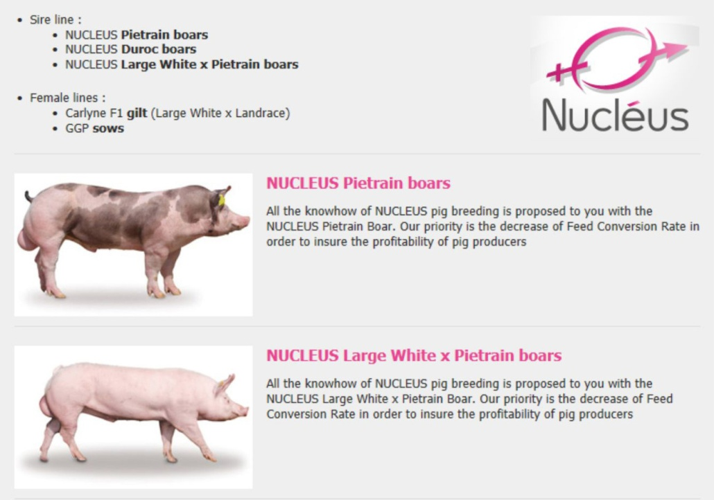Francie Z dalších evropských zemí stojí za zmínku francouzský hybridizační program firmy Nucléus.
