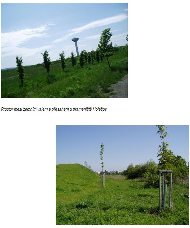 A20 Prostor mezi zemním valem a přesahem u prameniště Holešov: Jedná se o plošnou zeleň v místech, kde nelze zajistit zemědělské obdělávání pozemků v důsledku obtížného přístupu.