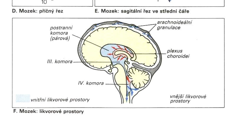 2 TEORETICKÁ ČÁST 2.