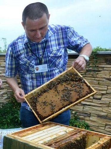 Pozvánka na Vzdělávací cyklus NEJEN pro začínající včelaře s podtitulkem: Více medu z Vašeho medometu!