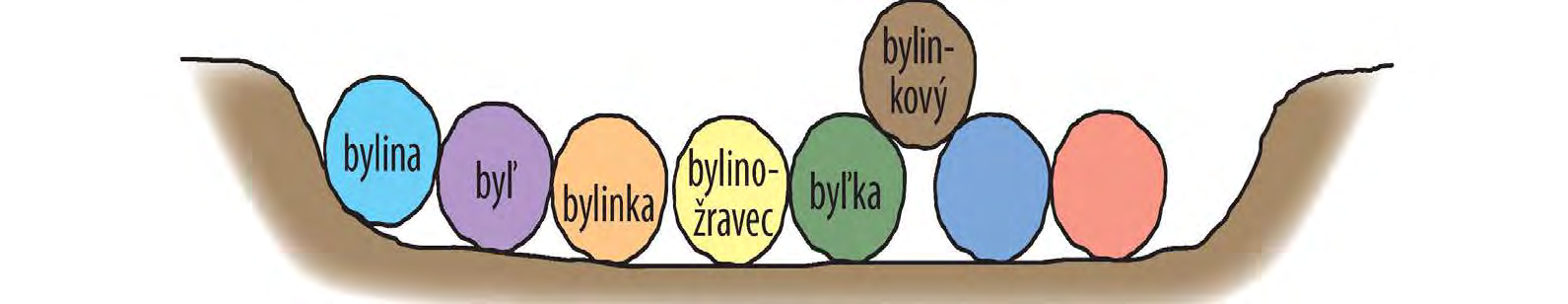 Vybrané slová a didaktika slovenského jazyka Skupiny slov na