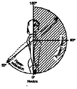 Obr. 11: Ventrální a dorzální flexe v ramenním kloubu Obr. 12: Addukce v ramenním kloubu Obr. 13: Vnitřní a zevní rotace v ramenním kloubu Obr.
