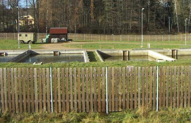 zbavovanie rýb nečistôt, pachov, potravy z