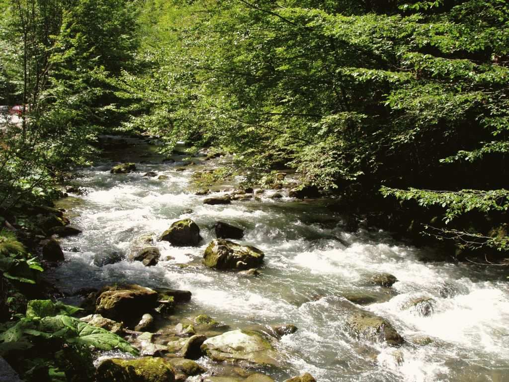 rybárstvo vo