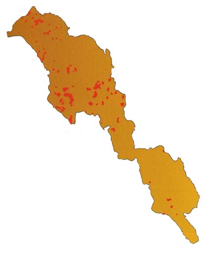 Obr. 2: Výskyt rašelinných a podmáčených smrčin v NP Šumava (Šantrůčková, Vrba a kol. 2010). zejména na méně zastíněných místech. Subdominantami bývají např.