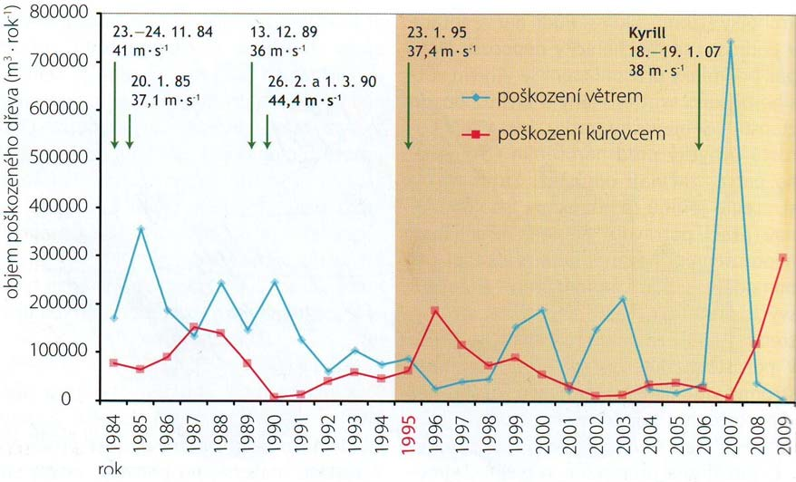 živých jedinců smrku při zvýšené populační četnosti lýkožrouta smrkového po větrných disturbancích (Schroeder, Lindelöv 2002; sec. in Janda a kol. 2010).