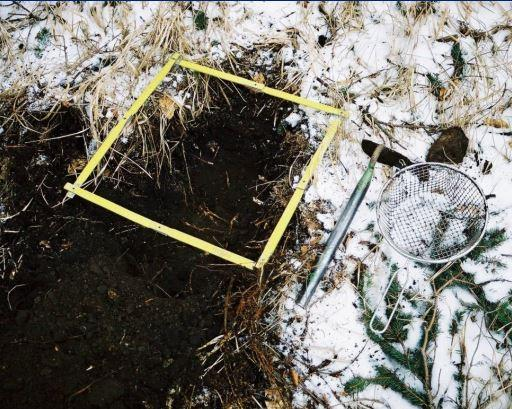 plochy překryté akumulačními sedimenty. Kromě toho i tam, kde je povrchový sběr možný, nemusí vždy jako metoda dostačovat.