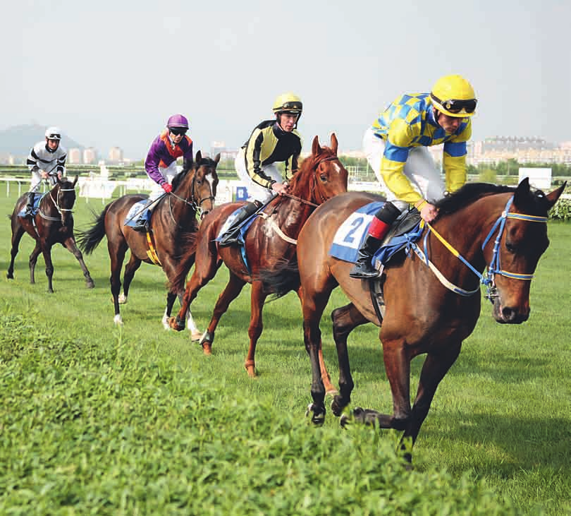 Strana 6 Most Evropské město sportu 2015 Ročník XV. Mimořádné vydání Září 2014 http://listy.mesto-most.