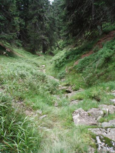 Koryto Kříţového potoka se začíná vytvářet v nadmořské výšce přibliţně 1313 m n.m. (16), asi 12 metrů od pramene.