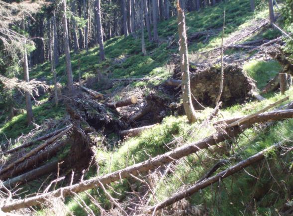 Přímo na tento erozní úseku navazuje na 405.