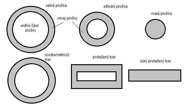 Obr.6: Vliv velikosti a tvaru plošek na rozlohu jejich jádrových oblastí a okrajových pásem (zdroj: upraveno podle Forman a Godron, 1993) Tvar plošek je spolu s velikostí nejvýznamnější