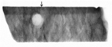 Záznam z neutronografie vzorek pískovce je ve směru šipky