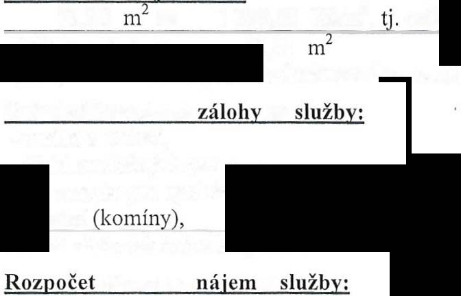 Článek I. Předmět a účel nájmu 1. Pronajímatel touto smlouvou přenechává nájemci za nájemné do užívání nebytové prostory v domě čp. 156, na k. ú. Karlín a na adrese Karlínské náměstí č. or.