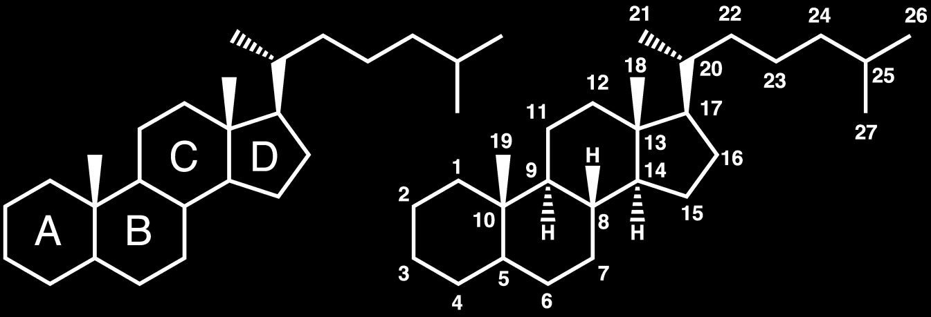 Steroidy