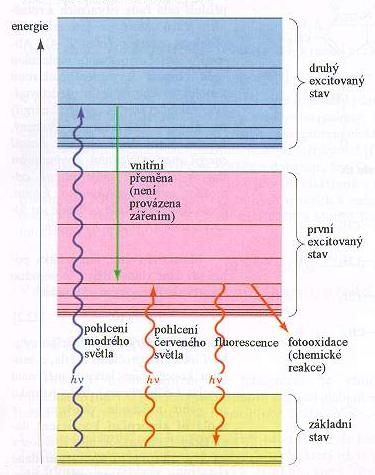 Způsoby proměny excitační energie: Vnitřní přeměna, běžný způsob zániku excitační energie, přeměna na teplo, velmi rychlý pochod Fluorescence, excitovaná molekula vyšle foton, čímž přejde do