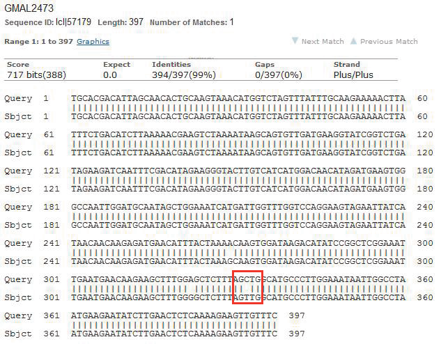 Podmínky PCR amplifikace: Složení reakční směsi (12,5 μl) pro primerový pár ARGH37 F/R: 2 ng genomové DNA; 1 U Taq polymerázy (Roche); BSA 0,5 μg/12,5 μl; 10 mm Tris HCl (ph 8,8); 50 mm KCl; 2 mm