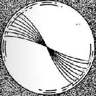 3.3.3.1.3 Mnemoskop Dítě obkresluje obrázky, které se promítají na šikmou kreslící plochu. 3.3.3.1.4 Pleoptofor Silné oslnění periferie sítnice i místa excentrické fixace vyvolá skotom oslněného místa a následná stimulace fovey snižuje centrální útlumový skotom fovey.