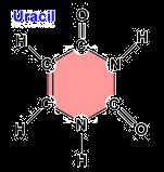 (2,6-dioxopyrimidin) adenin quanin