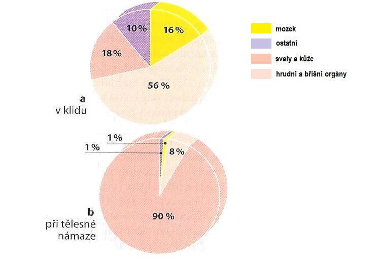 Příloha č. 2 Produkce tepla v klidu a při tělesné zátěži Zdroj: SILBERNAGL, S.
