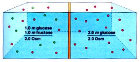rozpuštěnými látkami, je v souvislosti s osmotickými