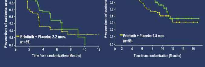 trial of erlotinib plus ARQ 197 versus erlotinib plus placebo in previously treated EGFR