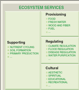 e) Jak funkční charakteristiky vegetace ovlivňují vlastnosti ekosystémů a ekosystémové služby?... TRADE-OFF (MEA 2005, Lavorel et al.