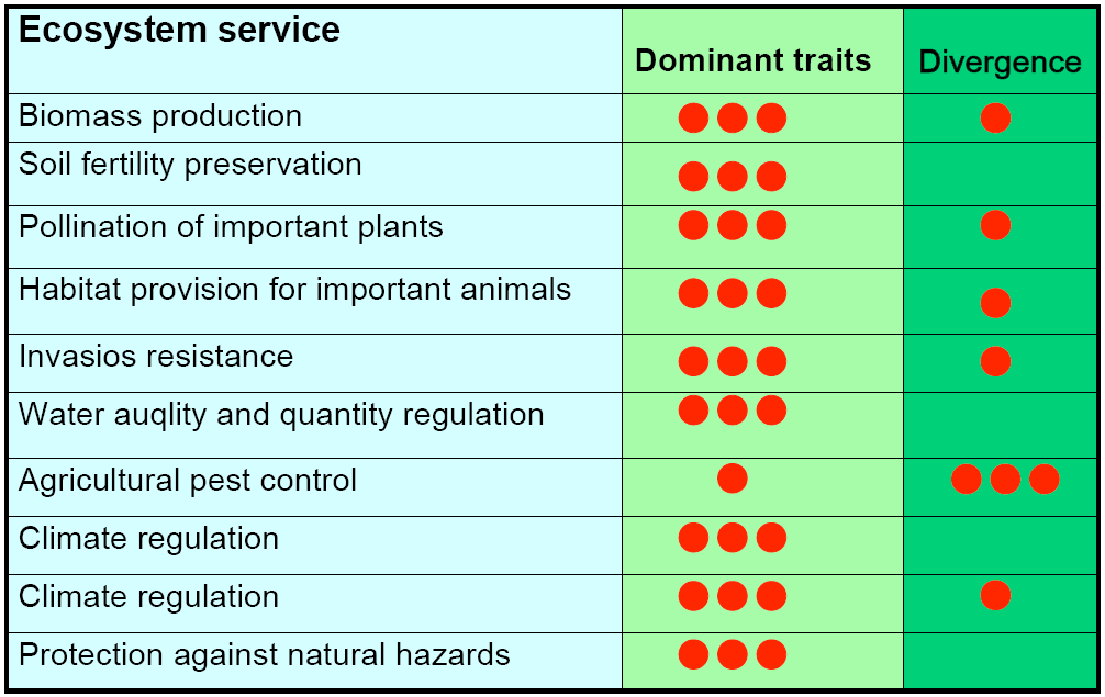 e) Jak funkční charakteristiky vegetace ovlivňují vlastnosti ekosystémů a ekosystémové služby?