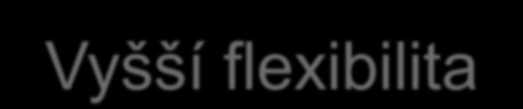 flexibilita Flexibilita IT podle