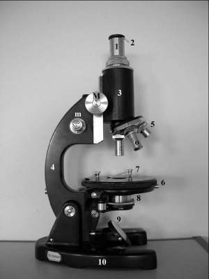 mikroskopu binokulárního je makrošroub i mikrošroub umístěn v jedné ose na nosiči tubusu pod úrovní stolku.
