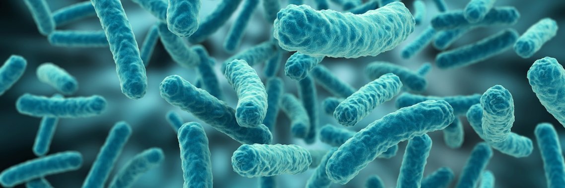 Vodík je využíván hydrogenotrofními methanogeny na redukci CO 2 podle rovnice 4 H 2 + CO 2 CH 4 + 2H 2 O ΔG = 130,7 KJ/mol Ve směsných