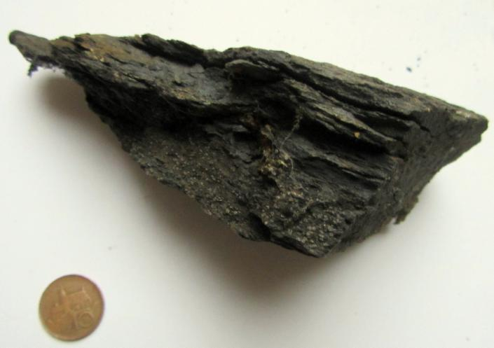Vrstva č. 2. - Na paleozoické droby nasedá 0,4 m mocná vrstva svrchnokřídových tmavých bituminózních jílovců, u kterých jsou zřetelné laminy. Facie č.2 Obr. 2 Bituminózní jílovec. Vrstva č.